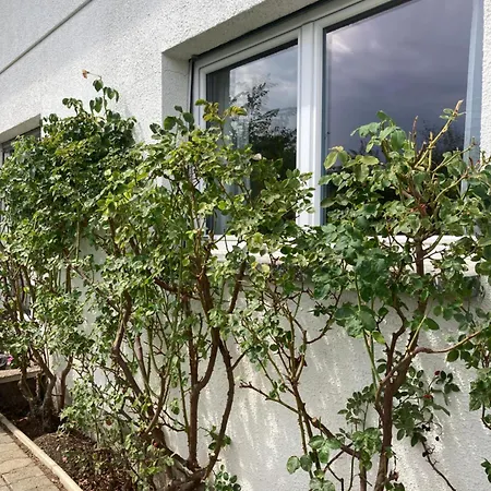 A 5mn De Sion - Havre De Paix Apartment Grimisuat