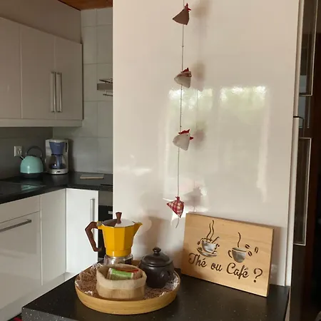 A 5mn De Sion - Havre De Paix * Grimisuat